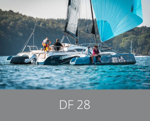 Dragonfly 28 link image