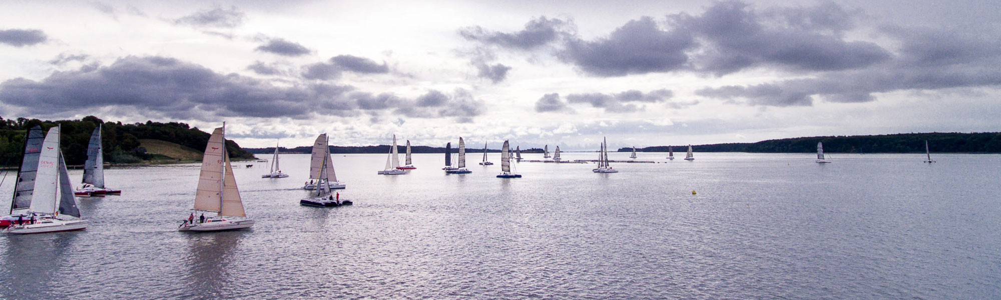 Dragonfly trimaran fleet of 30+ boats at owners event