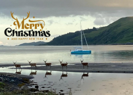 Merry Christmas image - Dragonfly 32 + reindeer