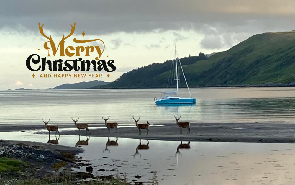 Merry Christmas image - Dragonfly 32 + reindeer